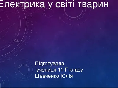 Знак Электричество — стоковая векторная графика и другие изображения на тему  2015 - 2015, Бизнес, Болт - iStock