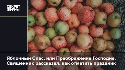 Спас. Яблочный, медовый, ореховый Спасы. Воспитателям детских садов,  школьным учителям и педагогам - Маам.ру