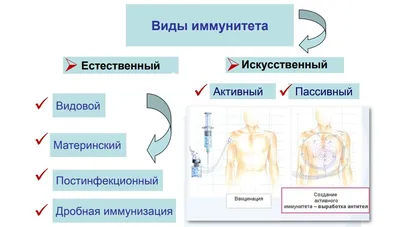 В России началась массовая вакцинация от COVID-19 — РБК