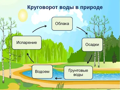 Картинки для презентации круговорот воды в природе (67 фото) » Картинки и  статусы про окружающий мир вокруг