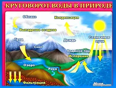 Круговорот воды в природе картинки - 66 фото