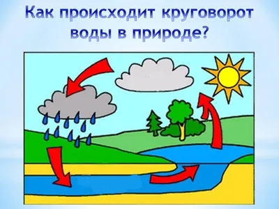 Круговорот воды в природе рисунок легкий - 79 фото