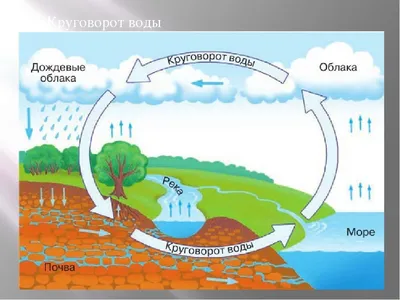 Раскраска круговорот воды в природе круговорот воды в природе изуча...