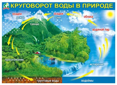 Наглядно-познавательное пособие «Круговорот воды в природе» в группе  старшего возраста (1 фото). Воспитателям детских садов, школьным учителям и  педагогам - Маам.ру