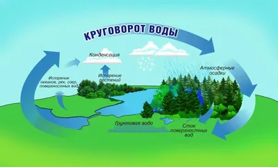 Презентация на тему: \"Круговорот воды в природе Интерактивная модель  процесса по предмету «Окружающий мир» для 2 класса. Битюкова Галина  Анатольевна, учитель начальных классов,\". Скачать бесплатно и без  регистрации.