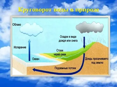 Круговорот воды в природе: значения, виды и элементы, схема мирового  влагооборота