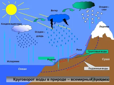 Делаем модель круговорота воды в природе в банке! Опыт для детей - tavika.ru