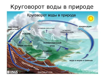 Презентация на тему: \"Круговорот воды в природе. Т.С. Сухова В.И.Строганов  Природоведение 5 класс. М: «Вента – Граф» 2007.\". Скачать бесплатно и без  регистрации.