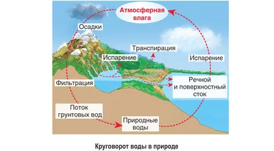 Превращения воды и её круговорот в природе — урок. Окружающий мир, 3 класс.