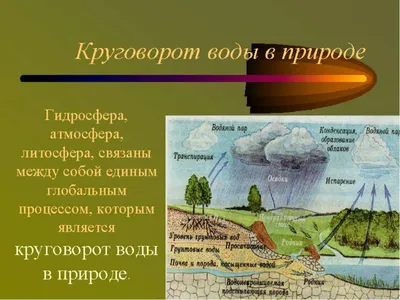 Дем. плакат. круговорот Воды В природе. - купить демонстрационные материалы  для школы в интернет-магазинах, цены на Мегамаркет |