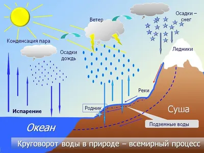 Круговорот воды в природе: эксперимент для детей с фото и схемой - Телеграф