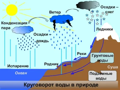 Круговорот воды в природе простыми словами | Ты серьезно? Не верю! | Дзен