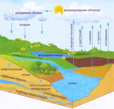 Круговорот воды в природе - типы, классификация и значение