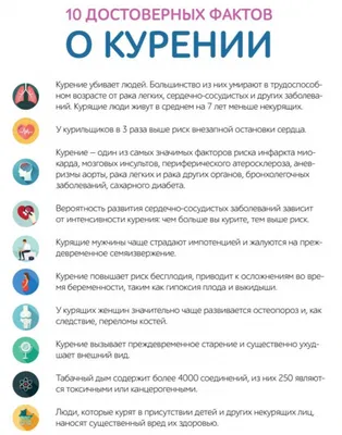 Где нельзя курить - инфографика - 25 февраля 2013 - Фонтанка.Ру