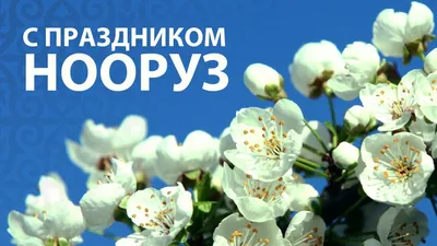 Поздравляем Вас с праздником Нооруз! — APNIP