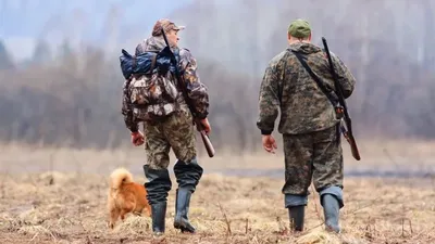 На Ямале открылся сезон охоты на пернатую дичь | Север-Пресс
