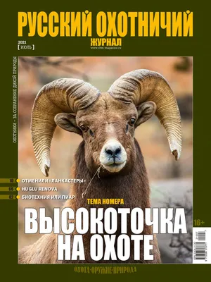 Русский охотничий журнал №7, 2021. Высокоточка на охоте - Русский охотничий  портал