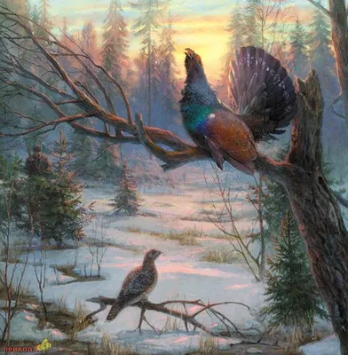 Пейзаж на тему охота и рыбалка для гравировки на камне -Птиций