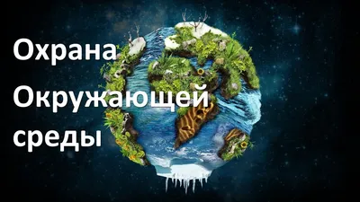 Тема урока: Environmental Protection ( Охрана окружающей среды) Презентация  урока в 7 классе по УМК К.И.Кауфман. - ppt download