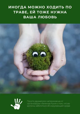 Бесплатные шаблоны плакатов о защите окружающей среды | Скачать дизайн и  макет для экологических постеров онлайн | Canva