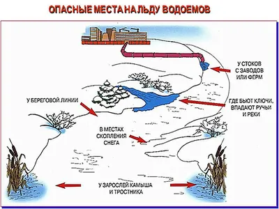 Осторожно: тонкий лёд! :: Krd.ru