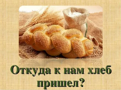 Тема недели «Откуда хлеб пришел?» в подготовительной группе 03 «Дюймовочка»  | Детский сад №4 «Ласточка»