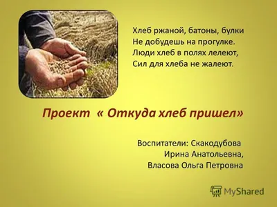 🍞Тематическая подборка \"Хлеб - всему голова\" | \"СУНДУЧОК\" для воспитателей  и педагогов | ВКонтакте