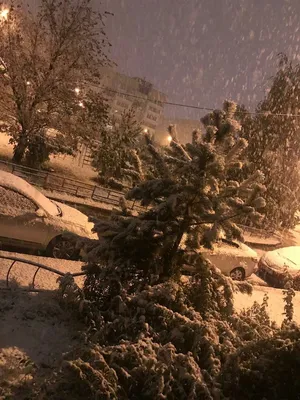 Первый снег в городе | Блог Аллы Гурьевой