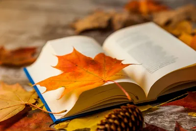 Осень в поэзии и сочиненние на тему «Осень» – Տիգրան Նահապետյանի բլոգ