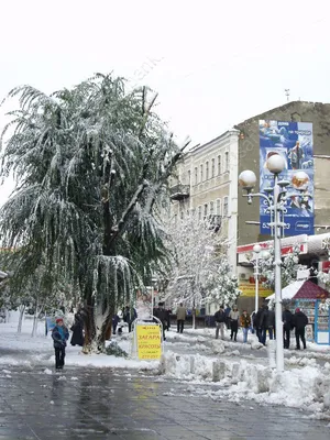 WEATHER AND NATURE / ПОГОДА И ПРИРОДА - ENGLISH. ЛЕКСИЧЕСКИЕ ТЕМЫ -  АНГЛИЙСКИЙ ЯЗЫК ДЛЯ САМЫХ МАЛЕНЬКИХ - Каталог файлов - МИШУТКИНА ШКОЛА