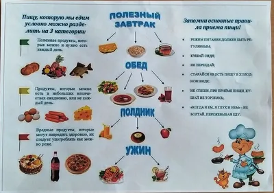 Обучающий плакат \"Здоровое питание\" А3 (2496864) - Купить по цене от 5.00  руб. | Интернет магазин SIMA-LAND.RU
