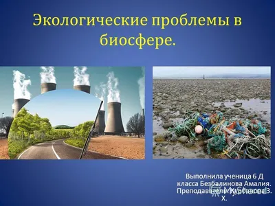 Презентация на тему: \"Экологические проблемы в биосфере. Выполнила ученица  6 Д класса Безбалинова Амалия. Преподаватель: Курбанова З. Х.\". Скачать  бесплатно и без регистрации.