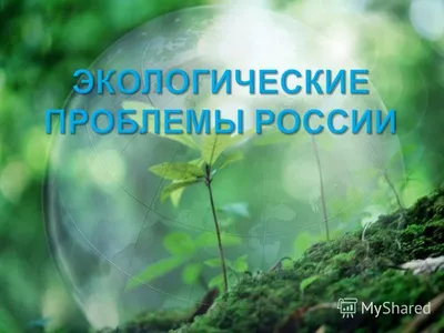 Презентация на тему: \"Экологические проблемы России\". Скачать бесплатно и  без регистрации.