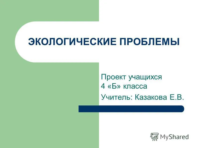 Исследовательская работа учащихся 4 класса "Экологические проблемы нашего села"