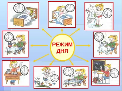 Картинки по запросу распорядок дня школьника в картинках скачать |  Школьники, Школьные темы, Лэпбук