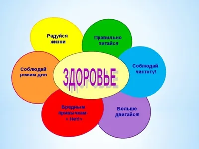 ОРГАНИЗАЦИЯ РЕЖИМА ДНЯ И ЕЕ ЗНАЧЕНИЕ ДЛЯ ЗДОРОВЬЯ СТУДЕНТОВ СУРГУТСКОГО  ГОСУДАРСТВЕННОГО ПЕДАГОГИЧЕСКОГО УНИВЕРСИТЕТА – тема научной статьи по  наукам об образовании читайте бесплатно текст научно-исследовательской  работы в электронной библиотеке ...