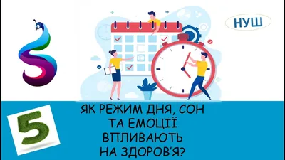 Здоровье школьника: режим дня и питания для успешной учебы | Проект  Роспотребнадзора «Здоровое питание»