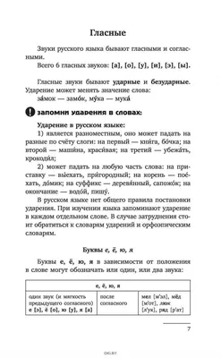 Русский язык в конце 4 класса: что должен знать и уметь ребёнок. Темы для  повторения и онлайн тест | Заметки мамы-училки | Дзен