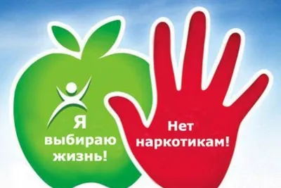 В БУКЭП провели конкурс плакатов «Скажи НЕТ наркотикам и алкоголю!» |  23.11.2022 | Белгород - БезФормата