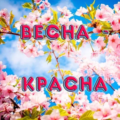 Фотоотчет о пластилинографии «Весна красна идёт» в старшей группе (6 фото).  Воспитателям детских садов, школьным учителям и педагогам - Маам.ру