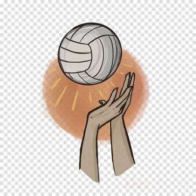 В Тюменской области с размахом отметили 100-летие отечественного волейбола  | Волейбольный клуб «Тюмень»