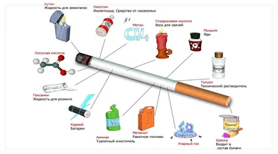 7 русских мультфильмов о вреде курения - Новости - Культурно-спортивный  центр «Полёт» - Администрация городского поселения Среднинского  муниципального образования - Органы местного самоуправления и учреждения -  Среднинское муниципальное образование