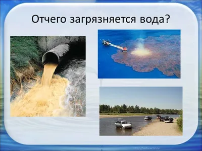 Презентация по географии на тему \"Загрязнение гидросферы\" 7 класс