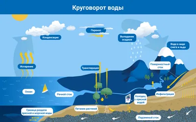 Сброс Сточных Вод В Реку — стоковые фотографии и другие картинки Сточные  воды - Сточные воды, Вода, Загрязнение воды - iStock