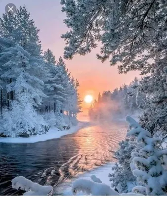 Зимний лес пейзаж - 76 фото