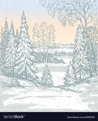 Зимний снег, солнечный свет, лес, олень, медведь, кипарис, плакаты на  скандинавскую тему и принты, настенная живопись на холсте, картины для  декора гостиной – лучшие товары в онлайн-магазине Джум Гик
