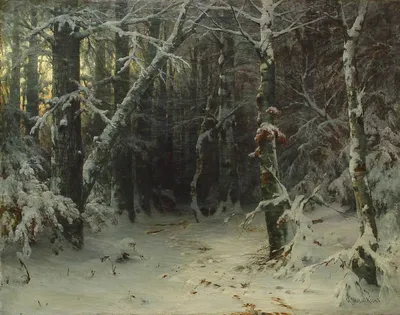 Зимний лес (картина) — Иван Иванович Шишкин