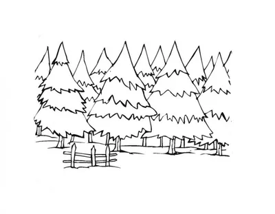 Мастер – класс по нетрадиционной технике рисования «набрызг» на тему: «Зимний  лес»