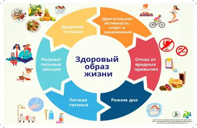 КОНКУРС ПРЕЗЕНТАЦИЙ \"Я ВЫБИРАЮ ЗОЖ\". | Номинации конкурса