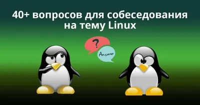 Как установить тему в Discord - База Знаний Timeweb Community